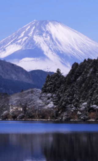 2D1N • From Tokyo: 2-Days Private Izu, Hakone, Kamakura, & Yokohama