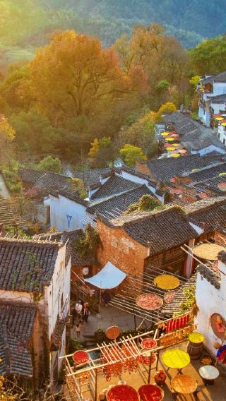 5D4N • Wangxian Valley + Sanqingshan Mount Scenic Area + Wuyuan Huangling Scenic Area + Jingdezhen + Lushan National Park