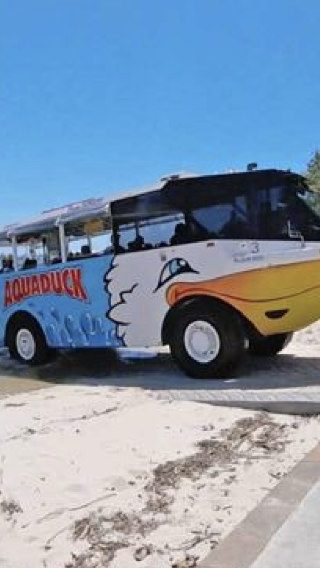 4D3N • Australia Brisbane + Gold Coast "Twin City Tour" | Moreton Island + Glow Worm Night Tour + Aquaduck Safari + Currumbin Wildlife Sanctuary or Tropical Fruit World + Point Danger