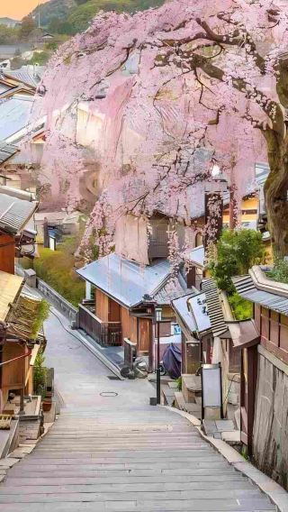 4天3晚 • 日本大阪＋京都＋奈良 關西經典路線，熱門景點一次過打卡，包括奈良公園、伏見稻荷大社、清水寺，9 人細淨玩團 