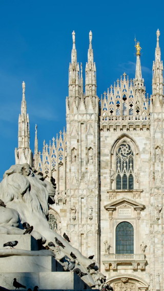 8D7N • Italy