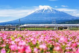 7D6N · Group Tours · Japan + Kyoto + Osaka + Kobe + Tokyo + Mount Fuji Osaka to Tokyo: Kiyomizu-dera, Nara deer, Mt. Fuji springs & lake, free Tokyo day. · Osaka to Tokyo: Kiyomizu-dera, Nara deer, Mt. Fuji springs & lake, free Tokyo day.