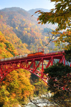 6 วัน 4 คืน • KORANKEI TOYAMA OSAKA รถไฟสายโรแมนติก โดยสายการบินไทย [TG]