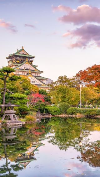 5D4N • Tokyo, Kyoto and Osaka