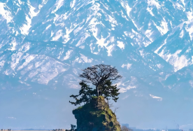 2-day 1-night · Group Tours · Japan + Nagoya + Kamikochi Stone Monument + Tateyama Park + Snow Corridor · Tateyama Kurobe, the gem of the Japanese Alps, Kamikochi, the spectacular snow walls of the Alps, with one night's accommodation in Hakuba included.