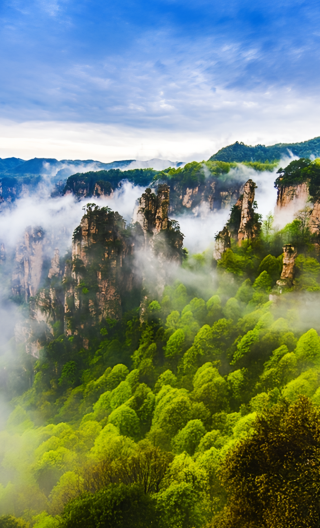 3D2N • Best for families: Zhangjiajie 2-day in-depth Forest Park & Golden Whip Stream, Avatar, Tianmen & Glass Bridge: Free Drone Video & eSIM