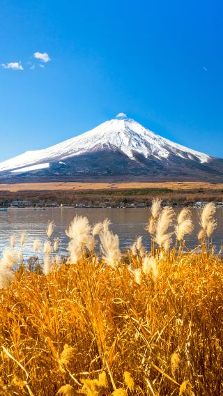 5天4晚 • 日本東京＋富士山＋鎌倉經典雙城遊「中文管家＋雙語司機＋導遊」