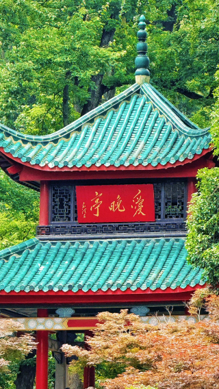 3D2N • Changsha + Mount Yuelu + Orange Island + Hunan Provincial Museum + Shaoshan