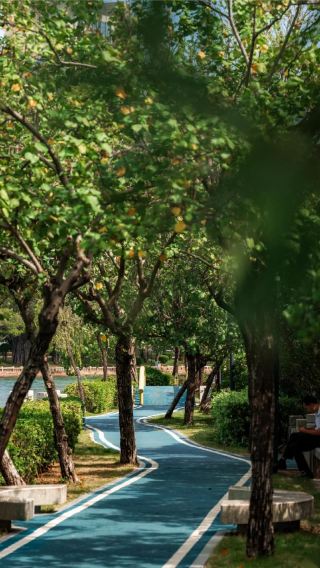 2D1N • Kulangsu + Shuzhuang Garden + Piano Museum + Longtou Road