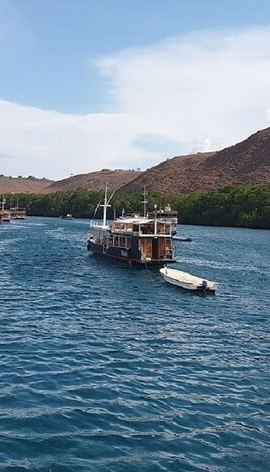 3D2N • 3-Day Komodo island Tour with or without Roundtrip Flight From Bali