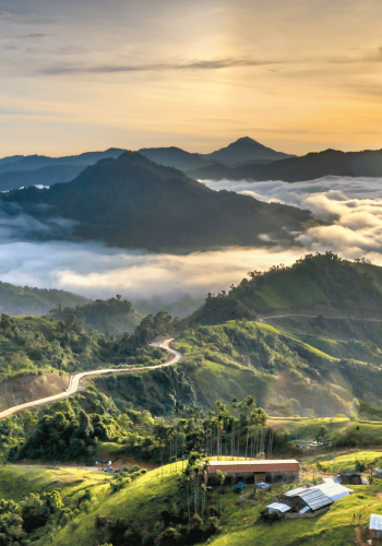 5D4N • Chiang Mai + Chiang Rai