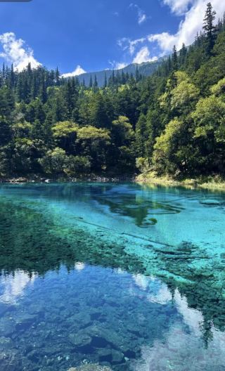 3D2N • Jiuzhaigou · Songpan · Panda base: English-speaking guide, high-speed rail round trip, park admission & shuttle bus, premium vehicle & hotel