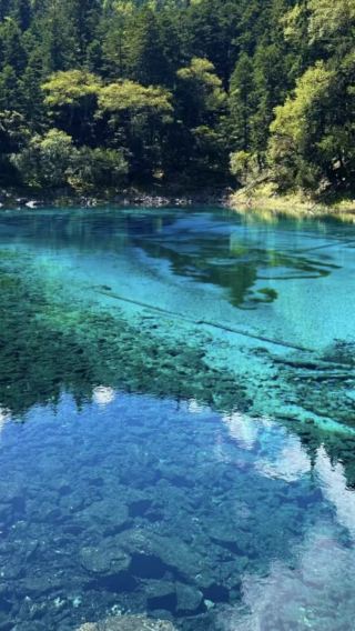 3D2N • Jiuzhaigou · Songpan · Panda base: English-speaking guide, high-speed rail round trip, park admission & shuttle bus, premium vehicle & hotel