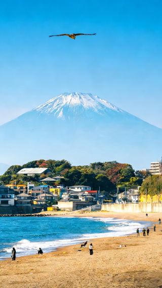 2天 • 日本東京＋富士山＋鎌倉