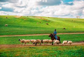 5D4N · Group Tours · Chengde + Wulanbutong Steppe Tourist Area + Wulan Butong Grassland · Ride a Ulan Warrior off-road vehicle, tour the grassland scenic circuit, and get up close to deer.