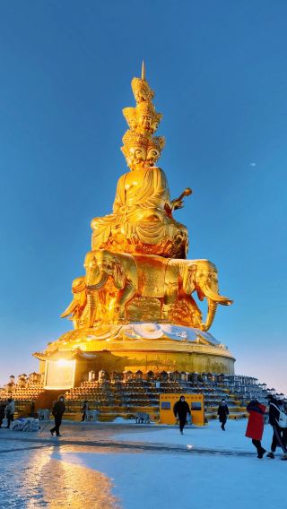 3D2N • Holiday fun in Sichuan - visit Panda Base, Ancient Shu Sanxingdui, in-depth Emei Golden Summit, boat tour Leshan Giant Buddha