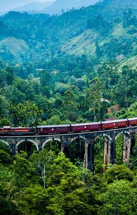 3D2N • 03 Days Highlights Of Sigiriya,Kandy,Nuwara Eliya ,Ella & Udawalawe
