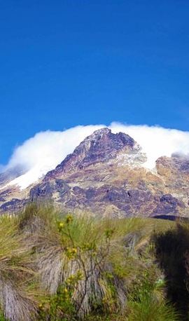 3D2N • Trekking at Los Nevados National Natural Park