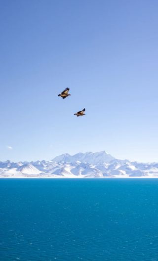 12D11N • 12-day group tour of Lhasa, Nyingchi and Shigatse, covering Potala Palace, Jokhang Temple, Sera Monastery, Yamdrok Lake, Everest Base Camp, Namtso Lake and Tashilhunpo Monastery
