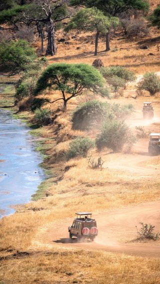 8D7N • Tanzania,Serengeti National Park,Ngorongoro Crater & Private Custom Tour & Private Transfer, Game Drive by 4x4 Safari Vehicle in Tarangire National Park & Serengeti National Park