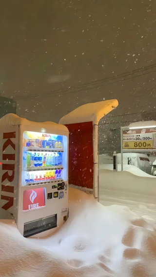 2D1N • Hokkaido, Japan + Asahi Zoo