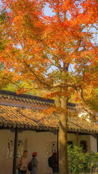 3D2N • Suzhou + Zhouzhuang: Each adult guest will receive one complimentary travel data SIM card upon booking