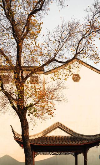 8D7N • Click to customize your itinerary: Shanghai, Hangzhou, Suzhou, Nanjing, Zhenjiang and Zhujiajiao