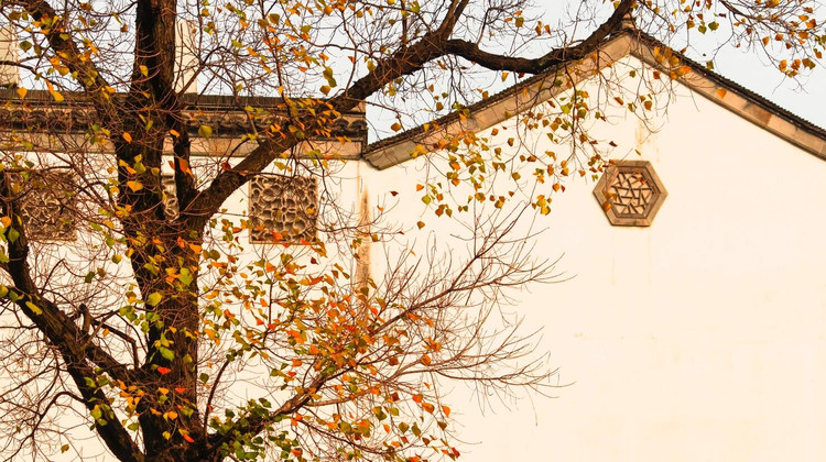 image_grid_main