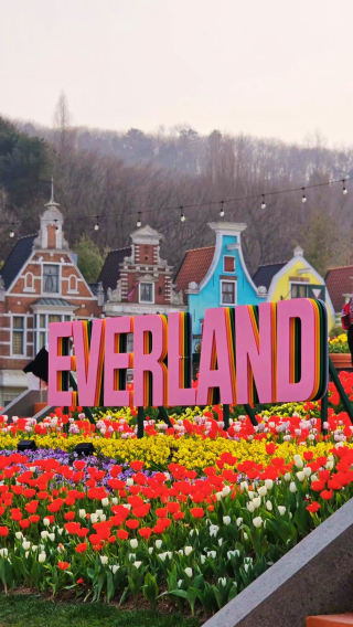 5D4N • South Korea & Seoul & Lotte World Adventure: COEX Aquarium, Lotte World Adventure, Starfield Library, Everland with pandas and roller coasters
