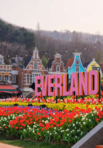 5D4N • South Korea + Seoul + Lotte World Adventure: COEX Aquarium, Lotte World Adventure, Starfield Library, Everland with pandas and roller coasters.