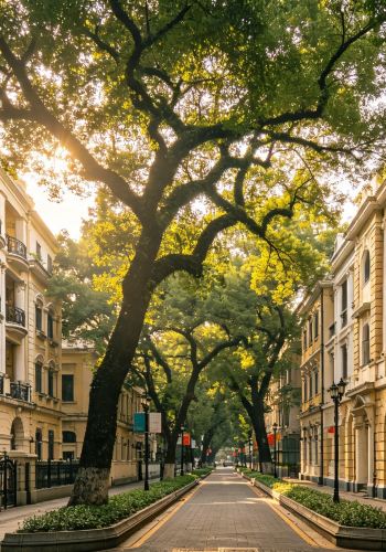 5D4N • Explore Hong Kong, Shenzhen, Huizhou, Shunde & Guangzhou with Free Custom Itinerary. Provide 24-Hour Online Butler Service.
