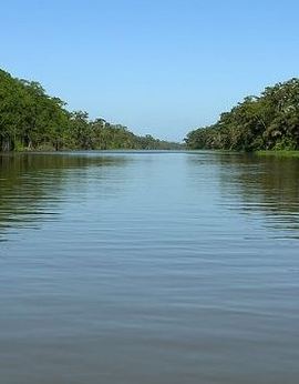 5D4N • Caribbean Costa Rica: 5-Day Tour with Tortuguero National Park and Puerto Viejo