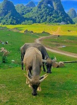 3D2N • Adventure Cao Bang 3 Day from Hanoi