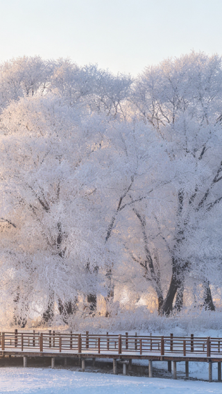 10D9N • Tailor-made Northeast China journey — no shopping, pure sightseeing tour