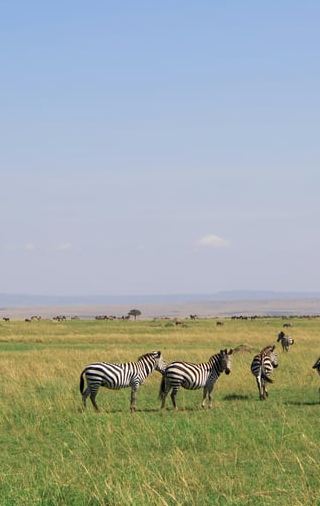 2D1N • 2-Day Amboseli National Park Safari