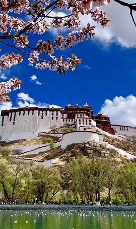4D3N • 4 Days Lhasa Impression Small Group Tour