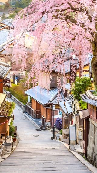 2D1N • Japan + Osaka + Kyoto                                 