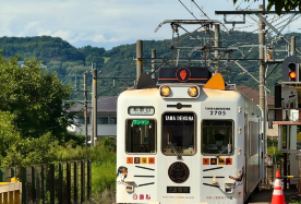 5-day 4-night · Group Tours · Japan + Osaka + Kyoto + Nara · Small-group tour with limited-time free airport and hotel shuttles, 4-diamond accommodation, Gion's Geisha culture, Fushimi Inari torii gates, San'in area highlights, Guichuan Shrine, Arashiyama train ride, Conan-themed Moon Bridge, and one free day.