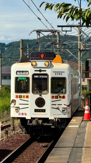5D4N • Japan + Osaka + Kyoto + Nara City                             