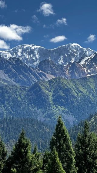 8D7N • Lhasa + Nyingchi + Potala Palace + Basum Tso Lake + Yamdrok Lake & Namtso Lake