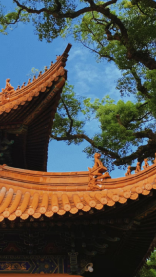4D3N • 4-day 3-night guided tour to Mount Putuo, Zhejiang - Sacred Guanyin Pilgrimage Island