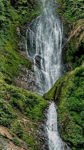 2D1N • 2 Days Nyungwe National Park Tours -Chimps-Canopy-Waterfall