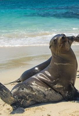 12D11N • The Best of Ecuador & Galapagos 12 Days / 11 Nights