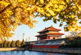 5D4N · Private Tours · Beijing Muslim Heritage Journey: Forbidden City, Great Wall & Niujie Muslim Culture Experience · Explore Beijing's iconic landmarks with a Muslim-friendly itinerary, including the Forbidden City, Great Wall, historic mosques, halal dining experiences, and local cultural discoveries