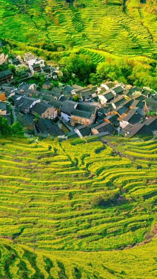 5D4N • Nanchang + Lushan National Park + Jingdezhen + Wuyuan + Sanqingshan Mount Scenic Area