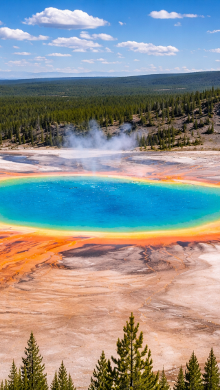 4D3N • Yellowstone & Grand Teton National Parks Adventure from Salt Lake City