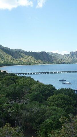3D2N • 3-Day Komodo National Park Tour: Komodo Island and Rinca Island Trek