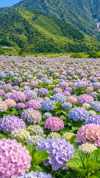 5D4N • Yilan + Taipei + Yangmingshan National Park