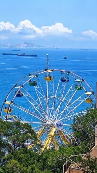 8D7N • Hong Kong Disneyland + Ocean Park + Ngong Ping 360 + Popular sea-view route + Fisherman's Wharf + Ruins of St. Paul's + The Venetian Macao