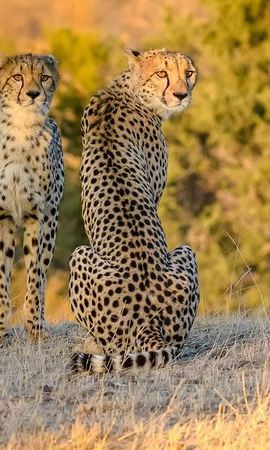 3D2N • 2 Night 3 Day Kruger via Panorama Safari package